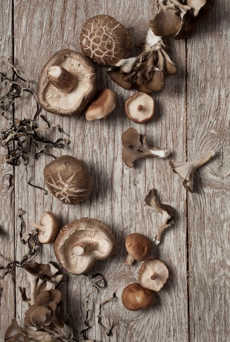 Explore the many cooking and health benefits of shiitake mushrooms, one of the most popular ingredients in Chinese cuisine. Preserving Mushrooms, Farm Meals, Outdoor Pizza Oven Kits, Dehydrated Recipes, Chinese Mushrooms, True Food Kitchen, Cooking Vegetarian, Mushroom Costume, Berlin Food