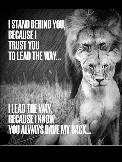 Lioness Quotes, Leo Quotes, Lion Quotes, Lion Love, Soulmate Love Quotes, Lion Pictures, Warrior Quotes, Team Work, Badass Quotes