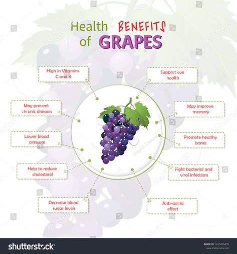 Health Benefits of grapes. Grapes nutrients infographic template vector illustration. Fresh Fruits #Ad , #AFF, #Grapes#nutrients#grapes#Health Black Grapes Benefits, Seeded Grapes Benefits, Health Benefits Of Grapes, Grapes Benefits Health, Benefits Of Green Grapes, Green Grapes Benefits, Immunity Foods, Grape Health Benefits, Grape Juice Benefits