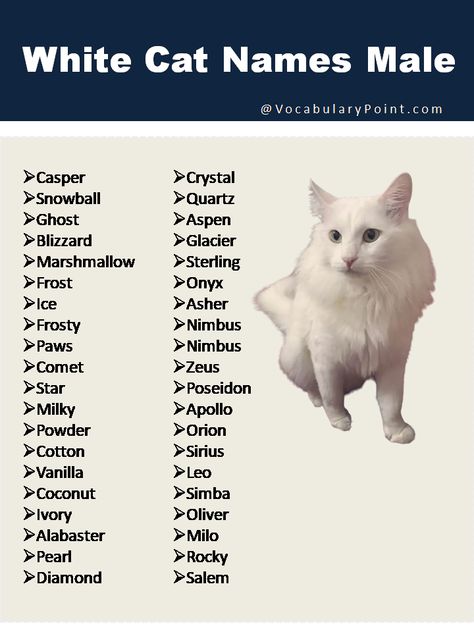 That’s why we’ve compiled a list of the best white cat names to help inspire you. From classic and elegant to quirky and fun, we’ve ... Read more The post 150 + Best White Cat Names appeared first on Vocabulary Point. Cat Names For White Cats, Gray Cat Names, Cats Names Ideas, Cat Names Aesthetic, Grey Cat Names, Cat Name Ideas, Cat Breeds List, Boy Cat Names, Fluffy White Cat