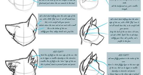 Lup Singuratic, Drawing Help, Drawing Animals, Art Help, Guided Drawing, Poses References, Anime Drawings Tutorials, Drawing Stuff, Art Tutorials Drawing