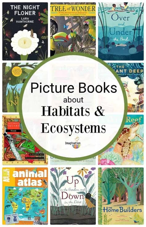 Picture Books About Habitats and Ecosystems | Imagination Soup Habitat Books For Preschool, Ecosystems Preschool, Nature Books For Kids, Habitats Activities For Kids, Preschool Habitats, Preschool Animal Habitats, Animal Book Cover, Books About Animals, Ecosystems Projects