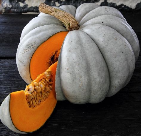 The types of pumpkins available today is enormous. Pumpkins to eat, decorate, to display or give away. Available in a variety of colors, sizes, and shapes. Jarrahdale Pumpkin, Como Plantar Pitaya, Vegtable Garden, Types Of Pumpkins, Pumpkin Varieties, Cinderella Pumpkin, Growing Pumpkins, Blue Pumpkin, Heirloom Vegetables