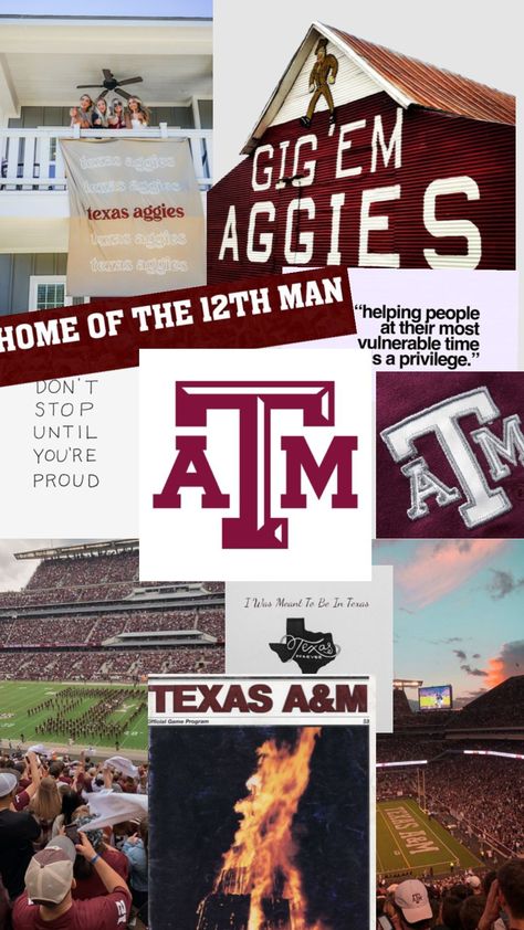 A&m College Station, Dorm Canvas Art, Dorm Canvas, Western Wallpapers, Aggie Football, College Vibes, Gig Em Aggies, Texas Baby, Dream Collage