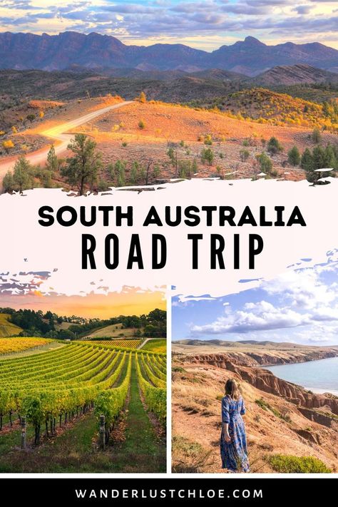 From wine tasting in McLaren Vale or the Clare Valley, to hiking in Flinders Ranges National Park, this South Australia road trip itinerary highlights the best of the state. #SouthAustralia #Australia #AustraliaTravel Flinders Ranges, Australia Road Trip, Clare Valley, I Was Here, Bondi Beach, Travel Spots, Bucket List Destinations, Trip Itinerary, Road Trip Itinerary