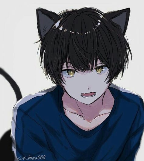 Anime Cat Boy, Neko Boy, Cat Boy, Cat Boys, Boy Anime, Anime Cat, An Anime, Cat Ears, Anime Boys