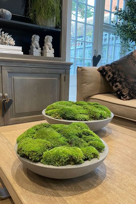 Moss Bowls, Fake Flowers Arrangements, Moss Bowl, Large Arrangement, Moss Centerpieces, Cottage Lounge, Dish Gardens, Moss Plant, Moss Decor