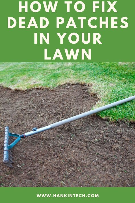 Grass Patches Lawn, How To Fix Patchy Grass Lawn, Leveling Yard, Lawn Care Diy, Overseeding Lawn, Mowing Business, Planting Grass Seed, Yard Hacks, Lawn Renovation