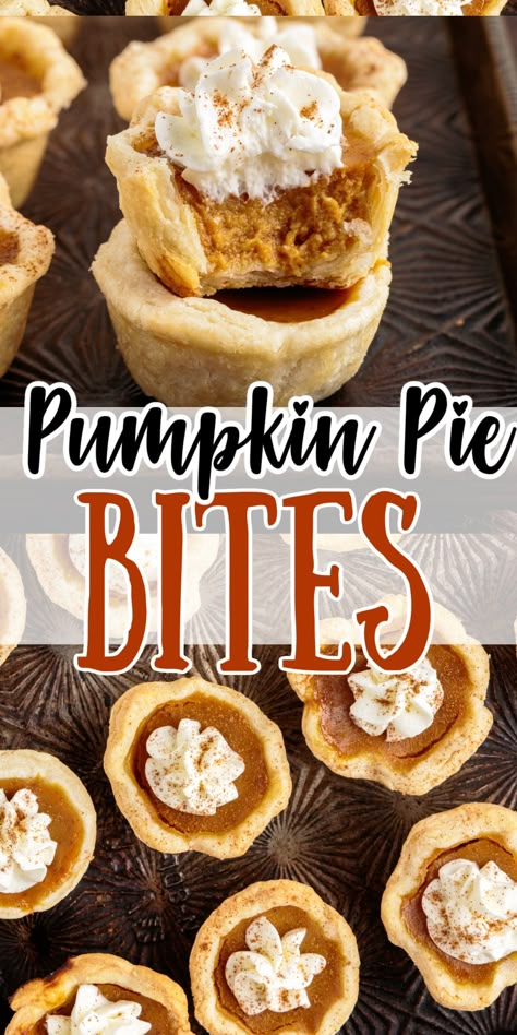 Thanksgiving Pie Bites, Mini Pillsbury Pie Crust Recipes, Bite Size Pumpkin Pie, Pumpkin Tassies Recipe, Pumpkin Pie Flavored Desserts, Pumpkin Pie Ideas Thanksgiving Desserts, Mini Pumpkin Pie Cookies, Pumpkin Pie Bites From Pie, Mini Pumpkin Bites