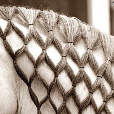 Horse Hair Styles, Horse Hair Ideas, Horse Hairstyles, Mane Braids, Horse Mane Braids, Horse Braids, Horse Hair Braiding, Horse Braiding, Foto Cowgirl