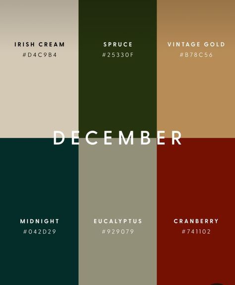 Winter Color Palette With Hex Codes, Aesthetic Christmas Colors, Christmas Colors Aesthetic, Christmas Colour Palette Hex Codes, Victorian Christmas Color Palette, Scandinavian Christmas Color Palette, Fall Winter Color Palette 2024, Color Palette For Christmas Photos, Fall And Winter Color Palette