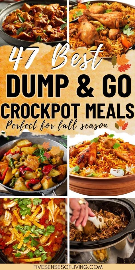 Make dinner effortless with these Slow Cooker Dump Meals, perfect for busy days! Just toss in the ingredients and let your Crockpot do the work with these easy dump recipes, including delicious casseroles and ground beef dishes. These freezable meals are ideal for meal prepping and are perfect for cozy fall dinners. Simplify your cooking routine with these convenient and tasty Slow Cooker recipes. Quick Slow Cooker Meals Easy Dinners, Easy Crockpot Fall Recipes, The Best Crockpot Meal, Great Crockpot Meals, Slow Cook Crockpot Meals, Quick Easy Dinner Crockpot, Meal Ideas Slow Cooker, Dump Bag Recipes, Fall Crock Pot Recipes Dinner