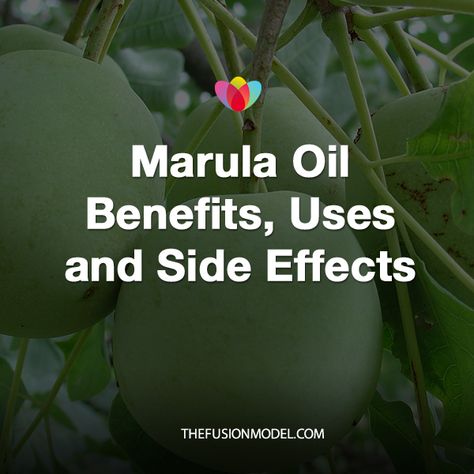 Marula Oil Benefits, Uses and Side Effects - The Fusion Model