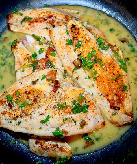 Red Snapper Lemon Butter Sauce, Red Fish Recipes Baked, Easy Snapper Fish Recipes, Red Snapper Steaks Recipes, Mutton Snapper Fish Recipes, Best Snapper Fish Recipes, Red Snapper Pan Seared, American Red Snapper Recipe, Snapper Recipes Pan Seared