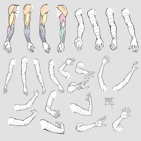 Sketchdump August 2017 [Arms] by DamaiMikaz Buy the artist a coffee! Arm Angles Reference, Art Reference Arms, Hand Arm References, Right Arm Reference, Anatomy Arms Reference, Arms Up Pose Drawing, Arm Study Drawing, Arms Sketch, Anime Arms Reference