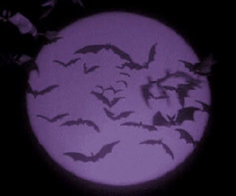 Purple aesthetic Ghost Purple Aesthetic, Purple Aesthetic Vampire, Villian Aesthetic Purple, Purple Bats Background, Purple Bat Aesthetic, Purple Nightmare Aesthetic, Goth Moon Aesthetic, Light Purple Halloween Aesthetic, Vampire Purple Aesthetic