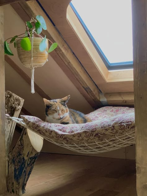 Living With Cats Apartments, Bedroom For Cats, Cozy Cat Room, Cat Decor Ideas, Aesthetic Cat Furniture, Cat Bedroom Aesthetic, Aesthetic Cat Stuff, Cat Room Aesthetic, Cat Area In House