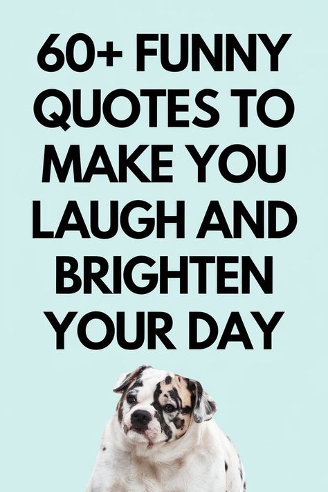 Funny quotes to make you laugh Daily Reminder Quotes Funny, How’s Your Day Going Quotes Funny, Happy Thoughts Quotes Funny, Funny White Board Quotes, Positive Funny Quotes Humor, Quote Of The Day Funny, Funny Encouragement Quotes, Loser Quotes, Funny Uplifting Quotes