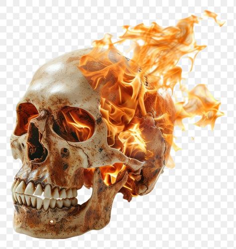 Pathfinder Witch, Skull On Fire, Fire Png, Skull Anatomy, Flame Skull, Skull Fire, Flaming Skull, Design Elements, Anatomy