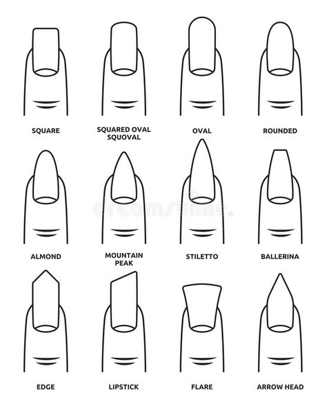 Different nail shapes - Fingernails fashion Trends vector illustration Printable Nail Art Templates, Printable Nail Art Practice Sheet, Nail Shape Chart, Types Of Nails Shapes, Printable Nail Art, Nail Tech Quotes, Nail Tech School, Nails Oval, Nails Shape