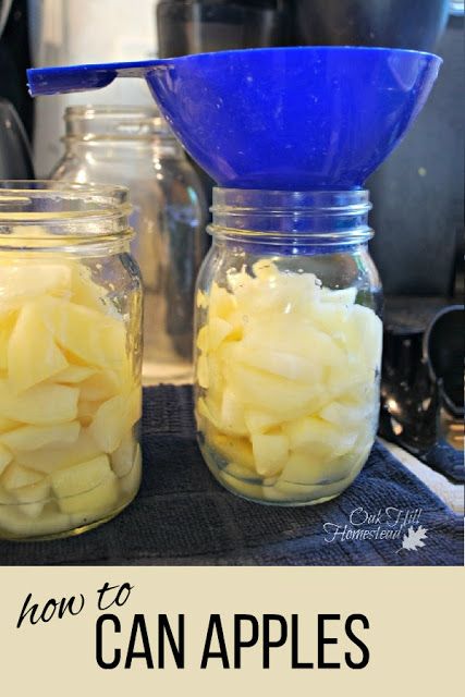 How to preserve apples using the waterbath method of canning. Apples Canning, Apple Recipes For Canning, Can Apples, Apple Canning, Preserving Apples, Canning Applesauce, Canning Apples, Recipes For Canning, Fruit Pie Filling