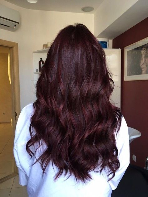 Cool Toned Dark Red Hair, Dark Red Tinted Hair, Red Wine Hair Color Dark, Dark Hair With Red Tint, Red Tinted Hair, Red Tinted Brown Hair, Dark Cherry Hair, Pelo Color Vino, Burgandy Hair