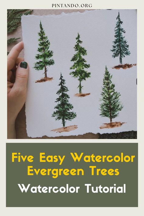 Discover the art of watercolor with our 'Five Easy Watercolor Evergreen Trees: Watercolor Tutorial' tutorial. Perfect for beginners, this step-by-step guide will help you create stunning landscapes featuring these iconic trees. Elevate your artistic skills and dive into a world of color, depth, and creativity. Join us on this inspiring journey and turn your imagination into a beautiful masterpiece. Pine Trees Watercolor Painting, Watercolor Art For Beginners Trees, Watercolor Christmas Cards Ideas Winter Scenes, Watercolor Pine Trees Tutorial, Watercolour Pine Trees, Pine Tree Watercolor Painting, How To Paint Trees Watercolor, Watercolor Pine Tree Tutorial, Evergreen Tree Drawing