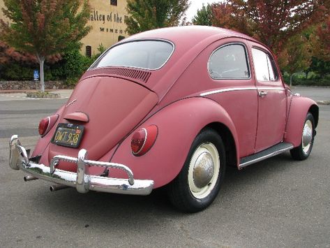 1964 VW Bug for Sale Vw Bug Interior, Car Stunt, Vw Beetle For Sale, Old Bug, Vw Super Beetle, Funny Vintage Ads, Bug Car, California Wine Country, Vw Classic