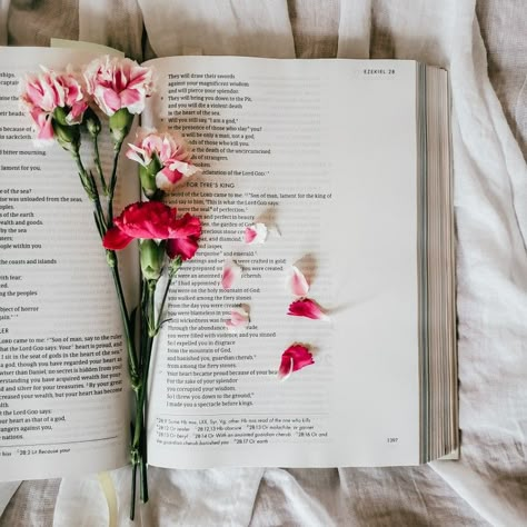 Bible journaling spring flowers aesthetic Faith Aesthetic Photography, Bible Photos Aesthetic, Bible And Flowers Aesthetic, Gods Creation Aesthetic, Ruth Core Aesthetic, Bible Photography Aesthetic, Faith Core Aesthetics, Bible Pictures Aesthetic, Bible Aesthetic Pictures