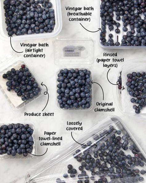 The Best Way to Store Blueberries | The Kitchn Storing Blueberries, How To Store Blueberries, How To Cook Lobster, Waffle Cookies, Cooking Stuff, Vegetable Storage, Fruit Storage, Food Saver, Blueberry Recipes