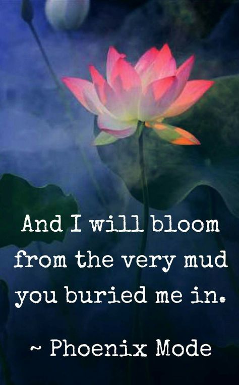 Watch me. Lotus Quotes, Lotus Quote, Lotus Flower Quote, Lotus Meditation, Interiors 2023, Flower Quote, Eastern Philosophy, Healing Touch, Journey Quotes