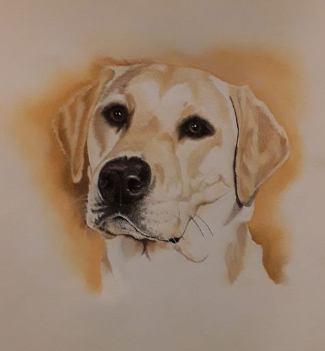 Yellow Lab Drawing Easy, Labrador Watercolor Painting, Yellow Lab Tattoo Ideas, Labrador Painting Easy, Yellow Lab Tattoo, Yellow Lab Drawing, Lab Sketch, Yellow Lab Painting, Yellow Lab Watercolor