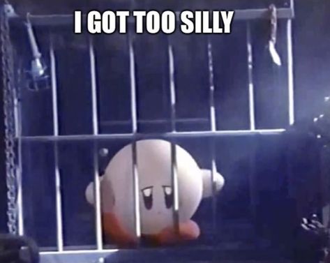 Oh The Misery Cat, I Got Too Silly, Got Too Silly, Kirby Memes, Too Silly, Kirby Art, Silly Images, Very Funny Pictures, Reaction Images