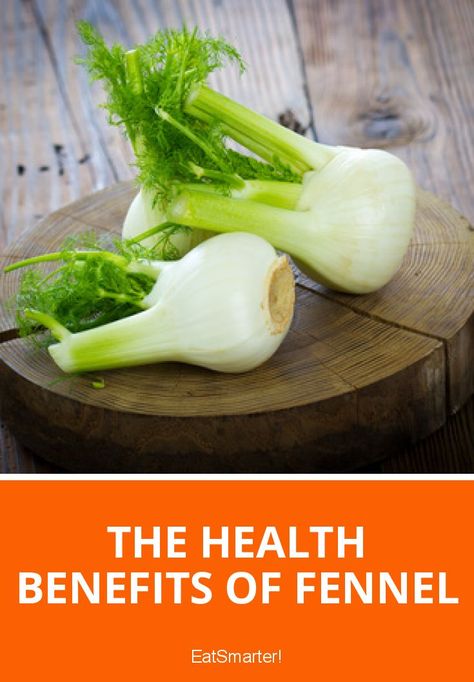 The Health Benefits of Fennel | eatsmarter.com Fennel Benefits Women, Fennel Health Benefits, Fennel Benefits, Benefits Of Fennel, Fennel, Healthy Body, Health Benefits, Healthy Eating, Benefits