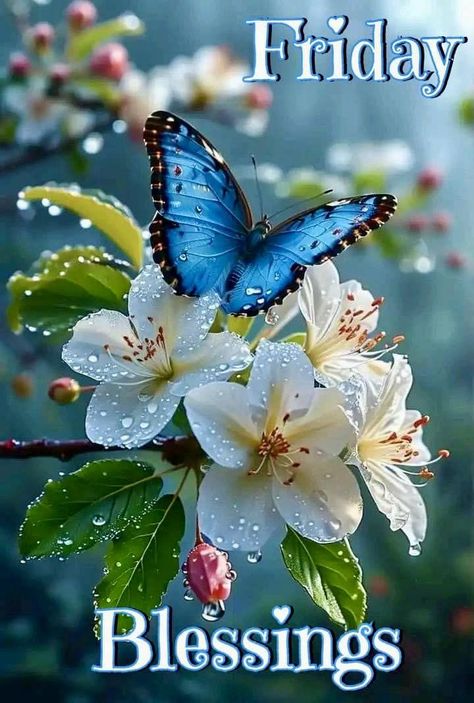 Beautiful Butterfly - Friday Blessings Pictures, Photos, and Images for Facebook, Tumblr, Pinterest, and Twitter Happy Birthday Snoopy Images, Friday Morning Images, Happy Friday Pictures, Friday Pictures, Friday Images, Good Morning Friday, Friday Blessings, Happy Friday Quotes, Blessed Friday