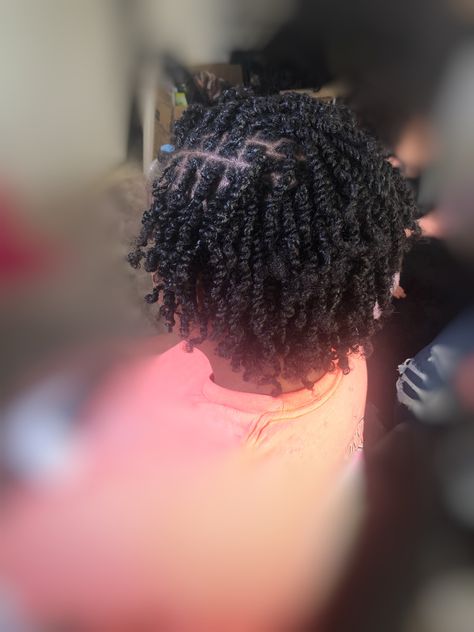 Starter Two Strand Twist Locs, Short 2 Strand Twist Starter Locs, Two Stand Starter Locs, Two Strand Twist Starter Locs 4c Hair, 2 Strand Twist Starter Locs, Starter Locs Two Strand Twist, Short Locs Hairstyles Starter, Two Strand Twist Starter Locs, Twist Starter Locs