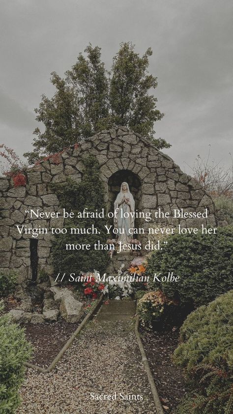 Mass Aesthetic, Virgin Mary Quotes, Saint Wallpaper, Bible Catholic, Bible Verse Wallpaper Catholic, Catholic Christmas Wallpaper, Catholic Inspirational Quotes, Catholic Wallpaper Aesthetic, Catholic Lockscreen