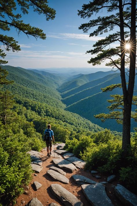 Adventure in the Blue Ridge: Hiking and Sightseeing in South Carolina's Mountains South Carolina Hiking, Southern Traditions, Palmetto Tree, South Carolina Homes, Mountain Aesthetic, Mountains Aesthetic, Southern Culture, Mountain Laurel, Cascade Waterfall