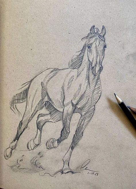 Horse Art Drawing, Horse Sketch, Animal Drawings Sketches, Drawing Faces, Horse Drawing, Horse Drawings, Art Drawings Sketches Creative, Animal Sketches, Arte Animal