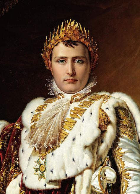 Napoleon Bonaparte Quotes, First French Empire, Napoleon Josephine, French History, Napoleon Bonaparte, La Seine, Roman Emperor, French Empire, Military Heroes