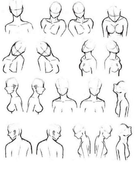 Bust Shots Reference, Bust Sketch Reference, Drawing Base Bust Up, Bust Base Reference, Character Bust Poses, Bust Shot Reference Pose, Bust Reference Drawing, Bust Art Reference, Bust Up Reference