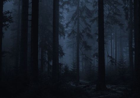 Creepy Woods, Moody Wallpaper, Indie Photography, Dark Forest Aesthetic, Sick Boy, Christian Artwork, Forest Background, Foggy Forest, Night Forest