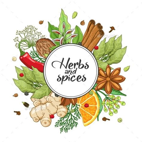 Spices and herbs jar labels. Colored vector condiment bakery set with cardamom, coriander, cinnamon, vanilla, poppy seed, sesame, Cooking Icon, Background Food, Pickle Recipe, Food Clipart, Food Logo Design, Food Logo, Spices And Herbs, Flower Background, Logo Food