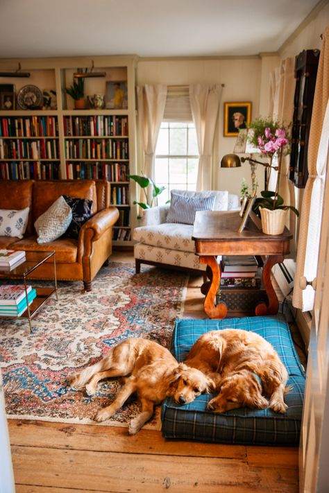 Farmhouse Classy Living Room, Off Center Windows Living Room, Books Interior Decor, Old World Vintage Decor, Grandpas Cabin Aesthetic, Reading Room Makeover, Cozy Cheerful Living Room, English Cottage Reading Room, Midwest Aesthetic Home