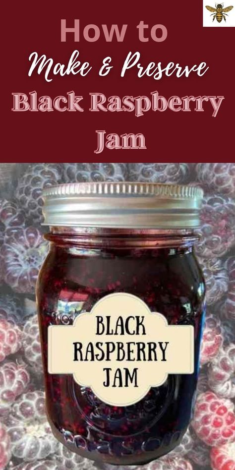 Wild Black Raspberry Jam, Recipes For Black Raspberries, Black Raspberry Canning Recipes, Seedless Black Raspberry Jam Recipe, Black Raspberry Jelly, Blackberry Raspberry Jam, Black Raspberry Freezer Jam Recipe, Wild Black Raspberry Recipes, Raspberry Jam Recipe Canning