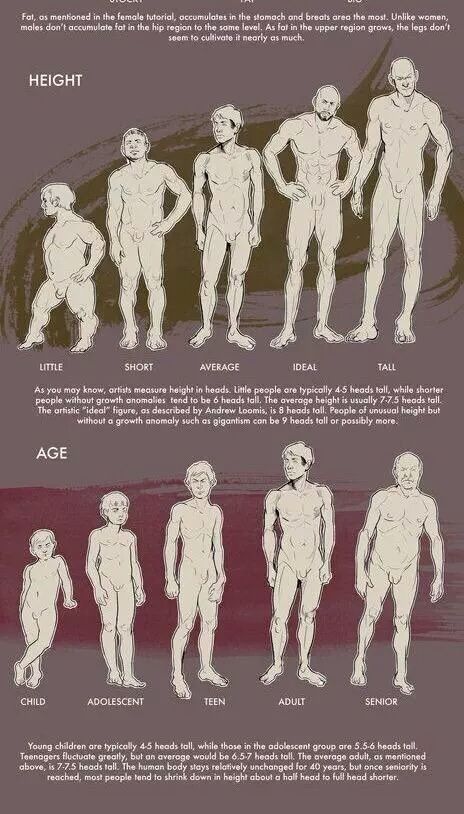 Body Types Tutorial, Male Body Types, Anatomy Tutorial, Anatomy References, Anatomy Drawing, Art Instructions, Poses References, Anatomy Reference, Drawing Stuff