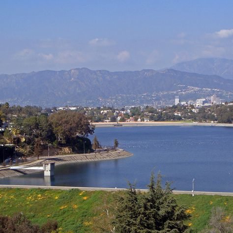 19 Things You Don't Understand About Silver Lake (Unless You're From There) Silver Lake Los Angeles, Hipster Coffee, Hollywood Homes, Dream Places, Silver Lake, Dont Understand, Back In The Day, Los Angeles California, Solo Travel