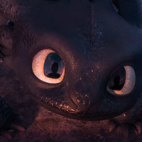 Dragons From How To Train Your Dragon, How To Train Your Dragon Iphone Wallpaper, How To Train Your Dragon Widget, How To Train A Dragon, Toothless Pfp Aesthetic, Berk Aesthetic, Dreamworks Aesthetic, Httyd Pfp Aesthetic, Hiccup Aesthetic Httyd