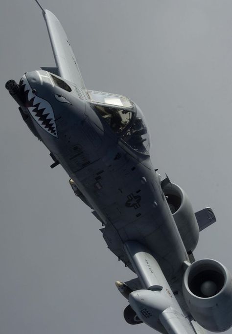 A 10 Warthog Wallpapers, A10 Warthog, Fighter Planes Jets, A 10 Warthog, Jet Fighter Pilot, Us Military Aircraft, Airplane Fighter, 2160x3840 Wallpaper, Military Hardware