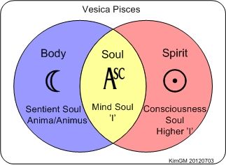 truth) Vesica Pisces, Anima And Animus, Scared Geometry, Astrology Pisces, Cosmic Consciousness, Dream Symbols, Masculine Energy, Dream Interpretation, The Tree Of Life